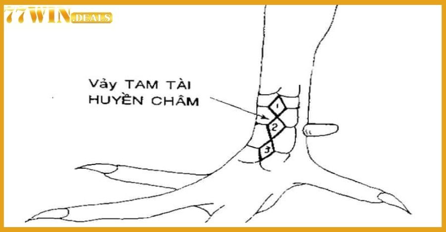 Vảy tam tài huyền châm được đánh giá cao