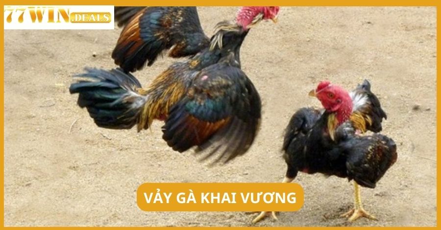 Vảy Gà Khai Vương là gì? Tổng hợp từ A - Z các thông tin hữu ích!