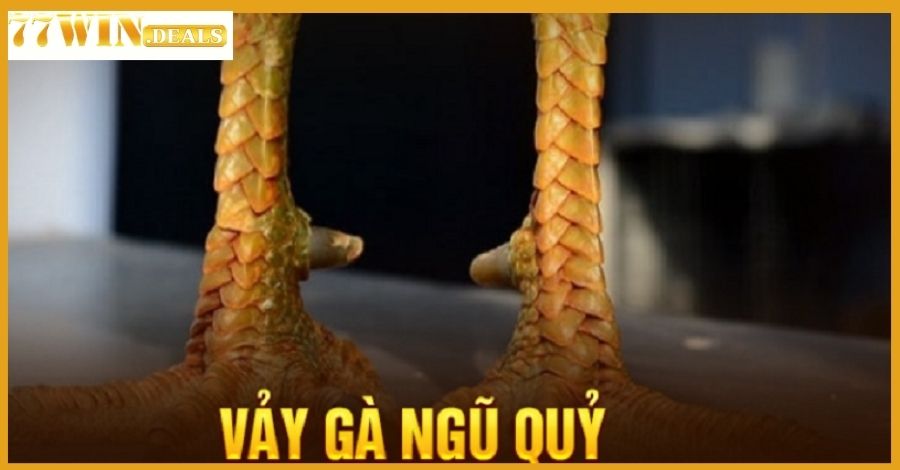 Vảy Gà Ngũ Quỷ là gì? Tổng hợp các kiến thức hữu ích!