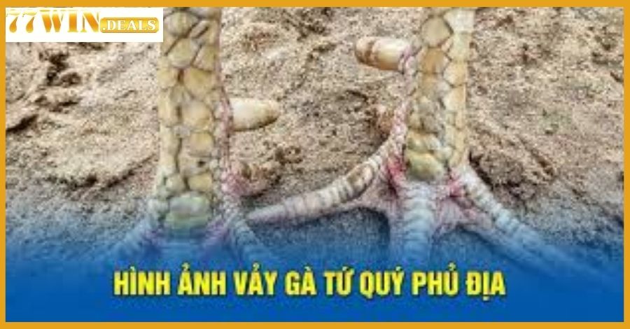 Vảy Gà Tứ Quý Phủ Địa tốt hay xấu? Nên dưỡng như thế nào?